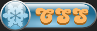 CSS