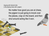 pigeon_chess.png