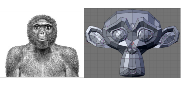 monkey see monkey do
